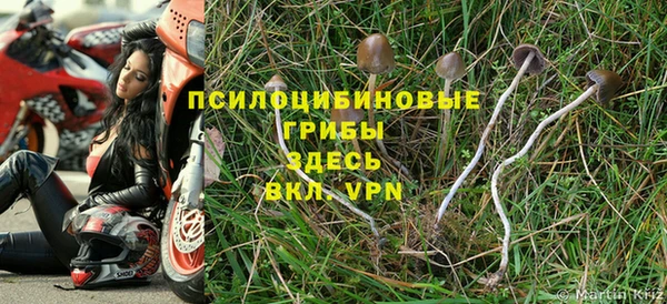 герыч Абаза