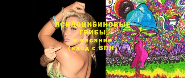 гашик Переславль-Залесский